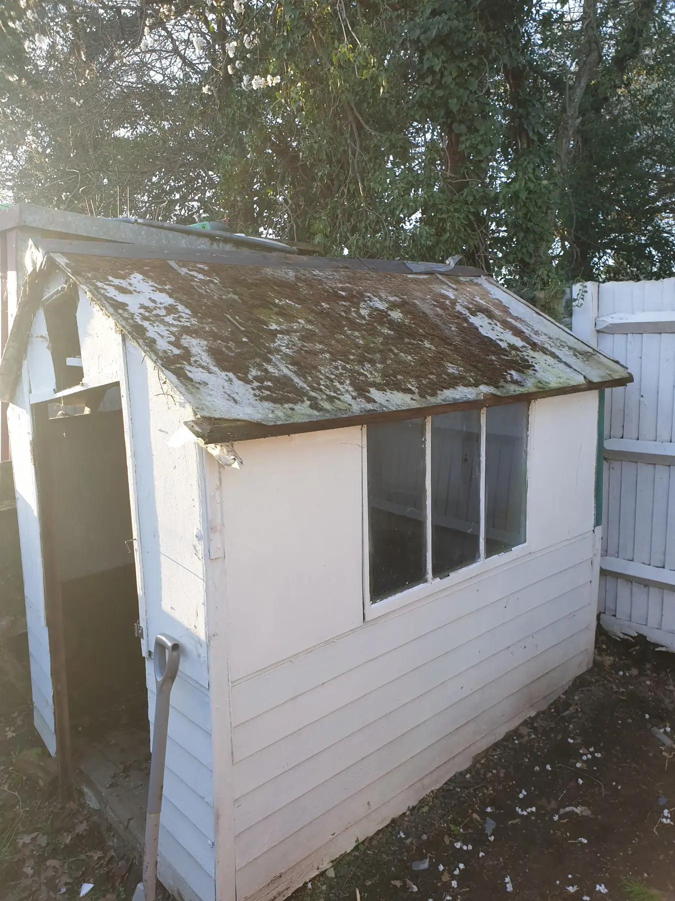 Corrugated asbestos cement outbuilding roof before removal in London